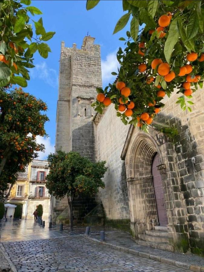 Sherryflat Paralejo 7 Lägenhet Jerez de la Frontera Exteriör bild